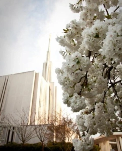 Picture of Seattle Temple